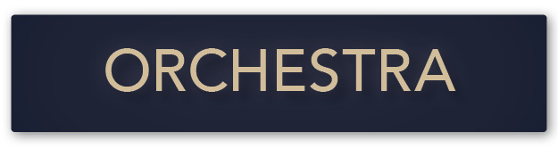 Orchestra